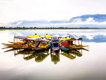 Nature and Landscape Photography