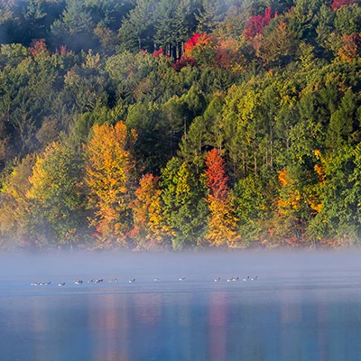 Nature and Landscape