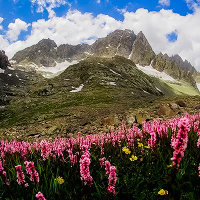 Nature and Landscape