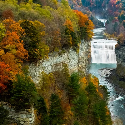 Nature and Landscape