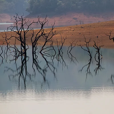 Nature and Landscape