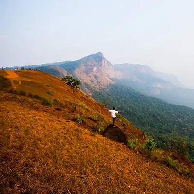 Nature and Landscape