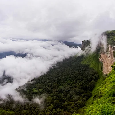 Nature and Landscape