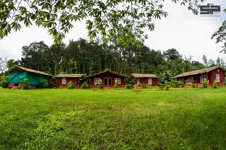 homestay_service (15)