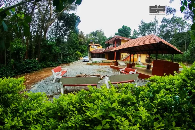 homestay_service (20)