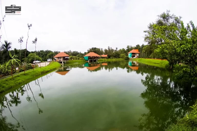 homestay_service (22)