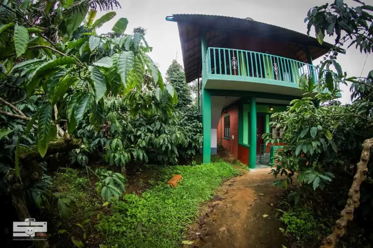 homestay_service (24)