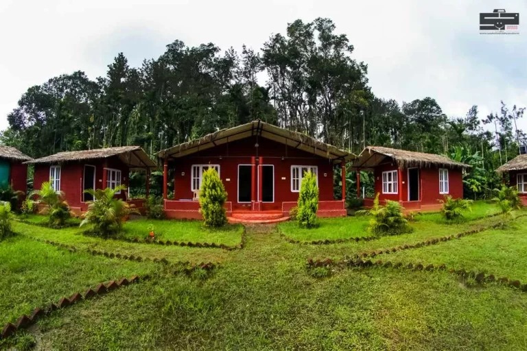 homestay_service (26)