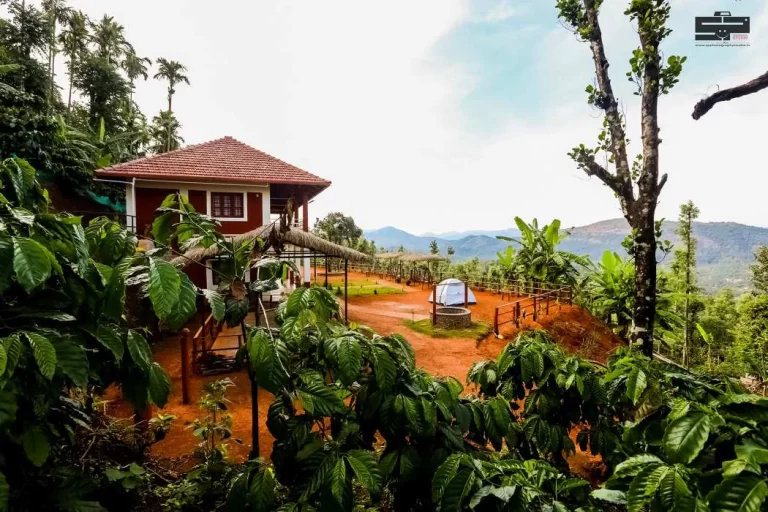 homestay_service (7)