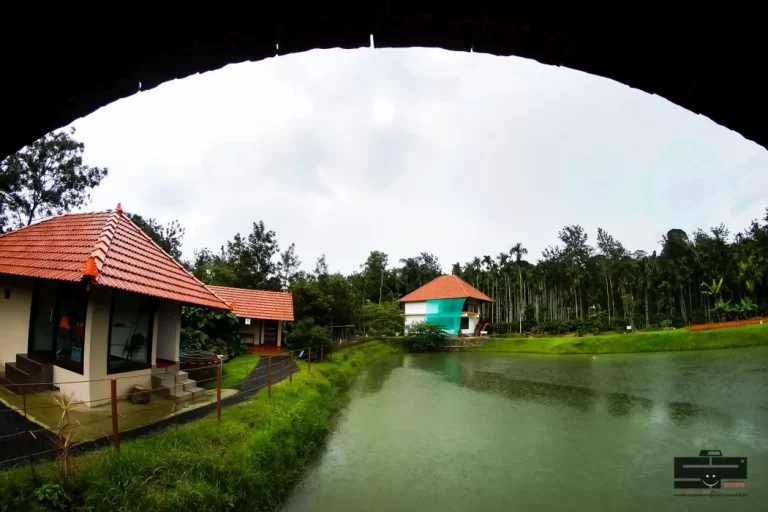 homestay_service (8)