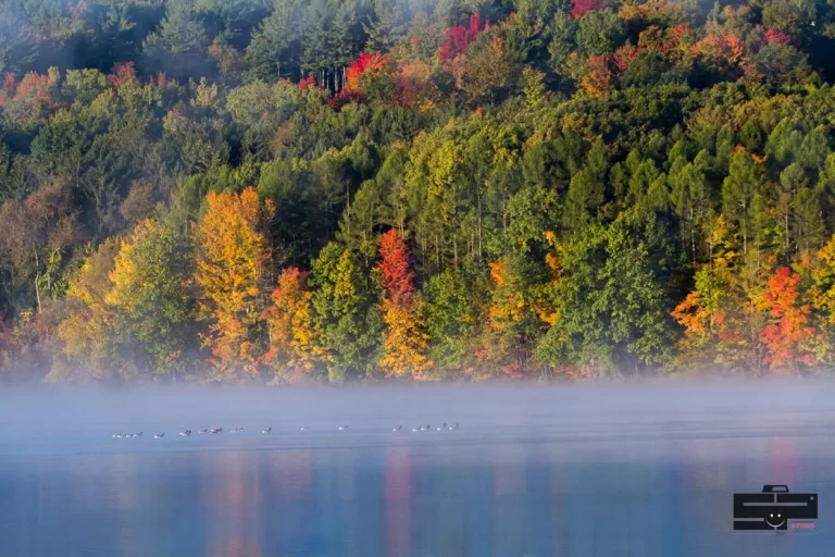 nature_landscape_service (1)
