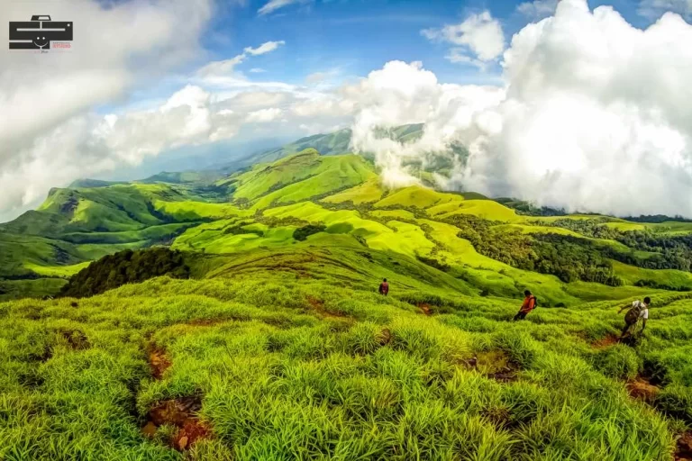 nature_landscape_service (16)