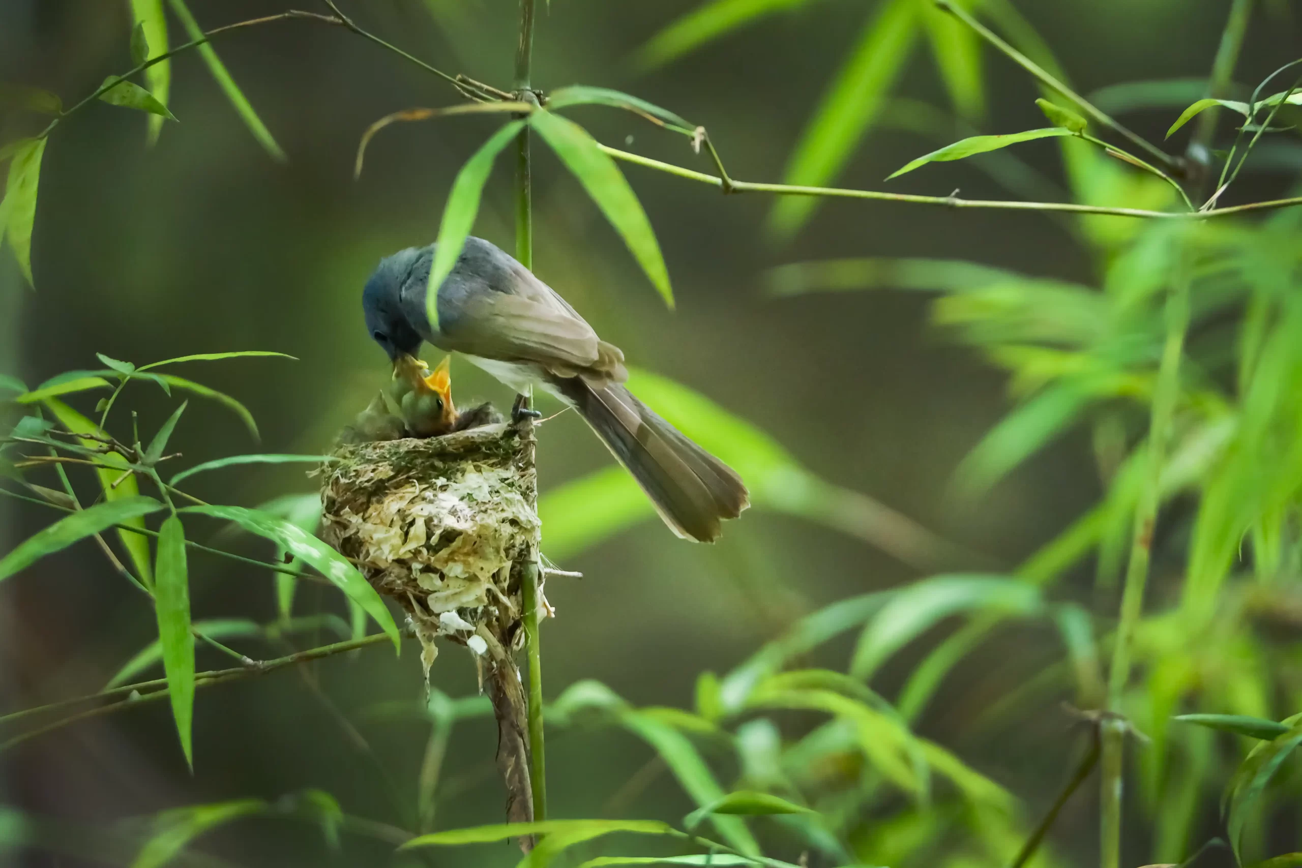 nature & landscape photography 11