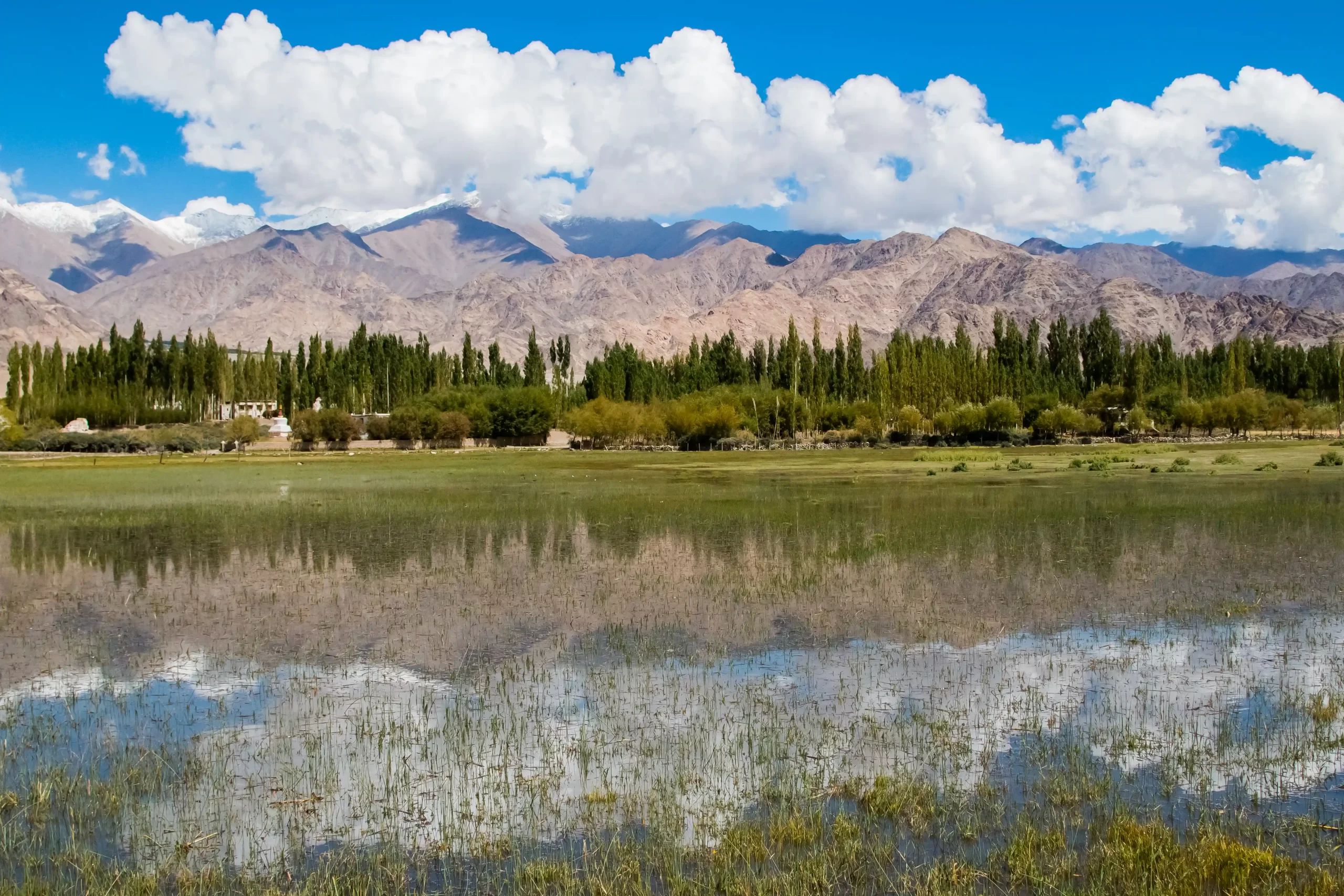 nature & landscape photography 23