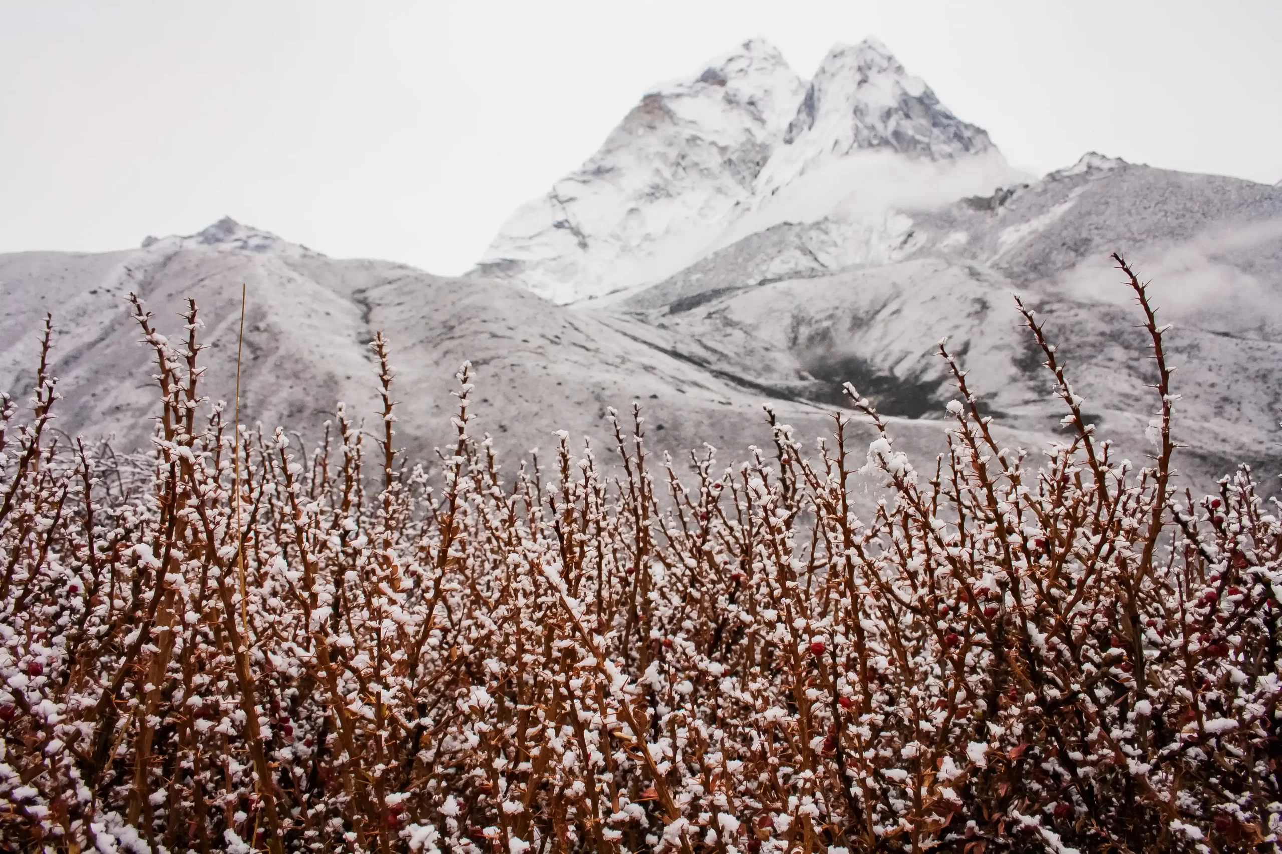 nature & landscape photography 46