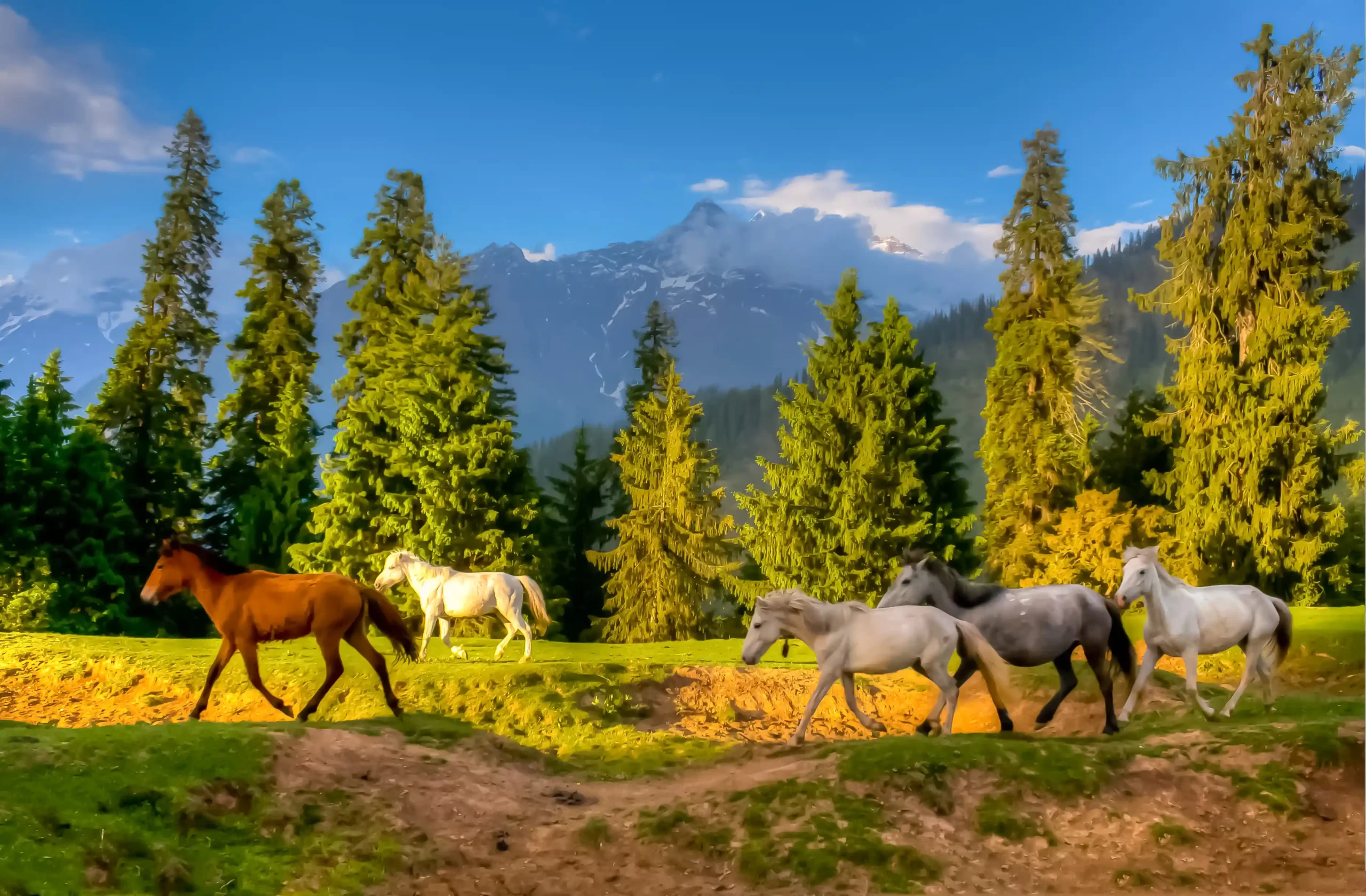 nature & landscape photography 57