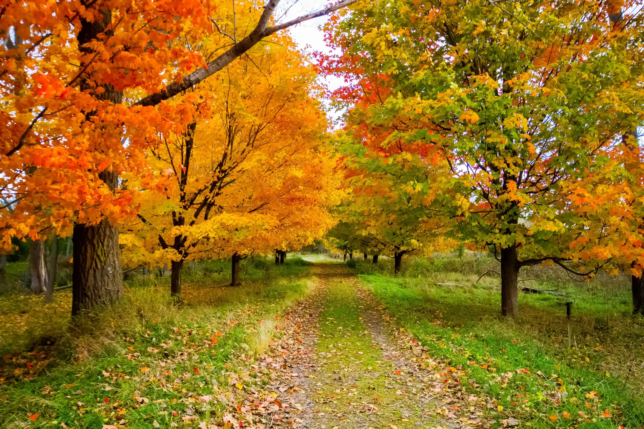 nature & landscape photography 60