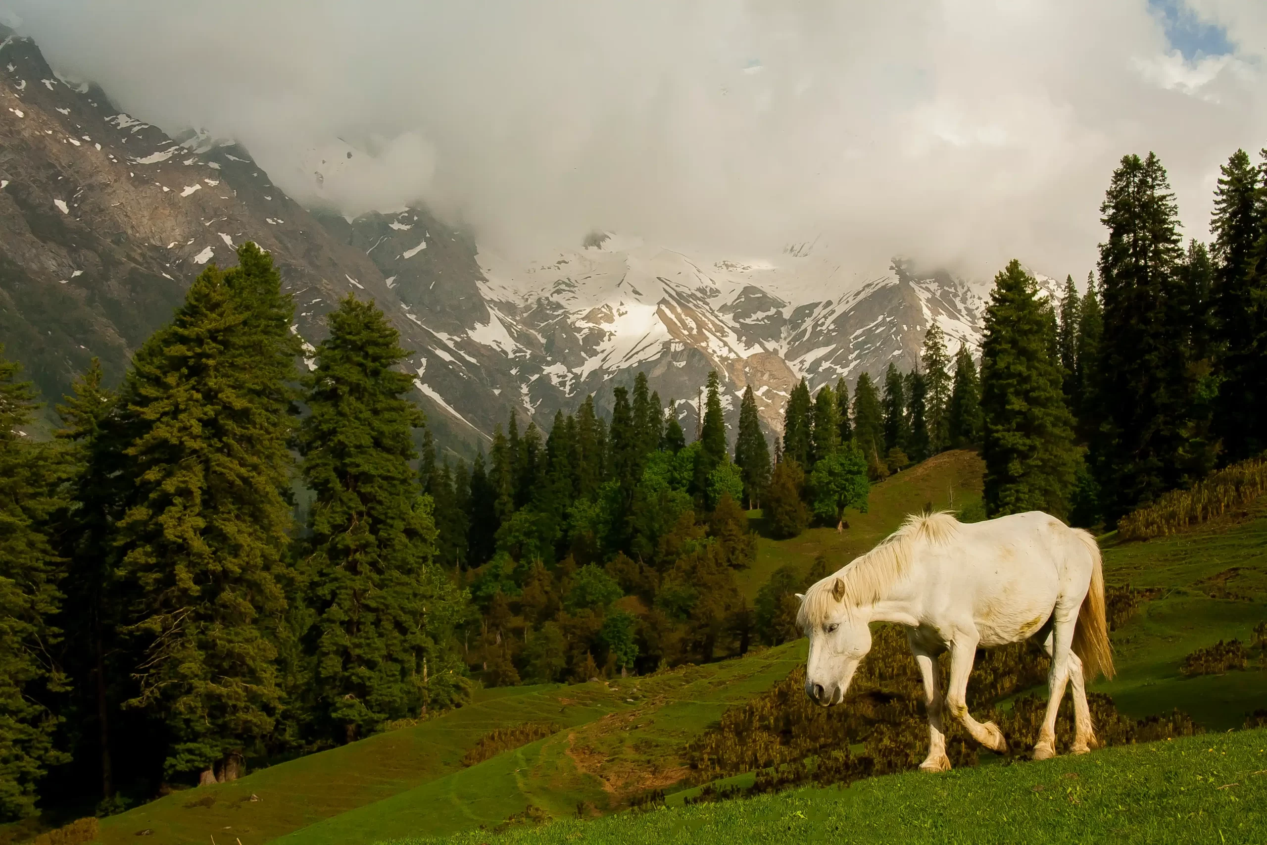 nature & landscape photography 61