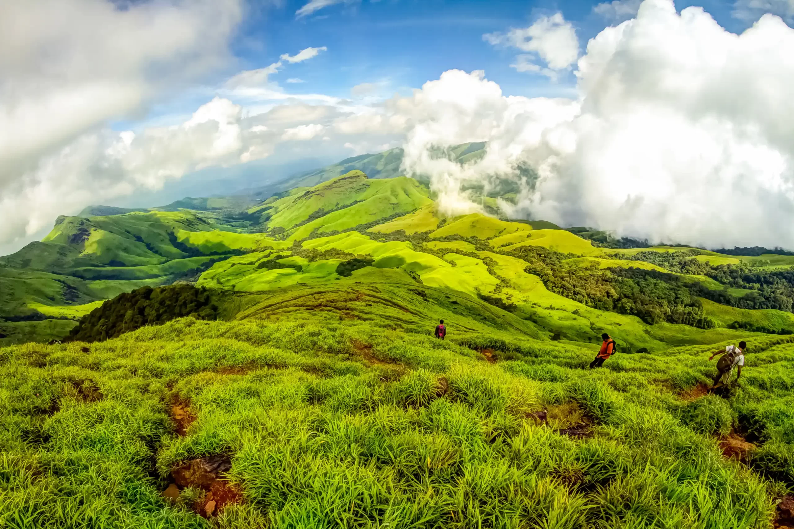 nature & landscape photography 64