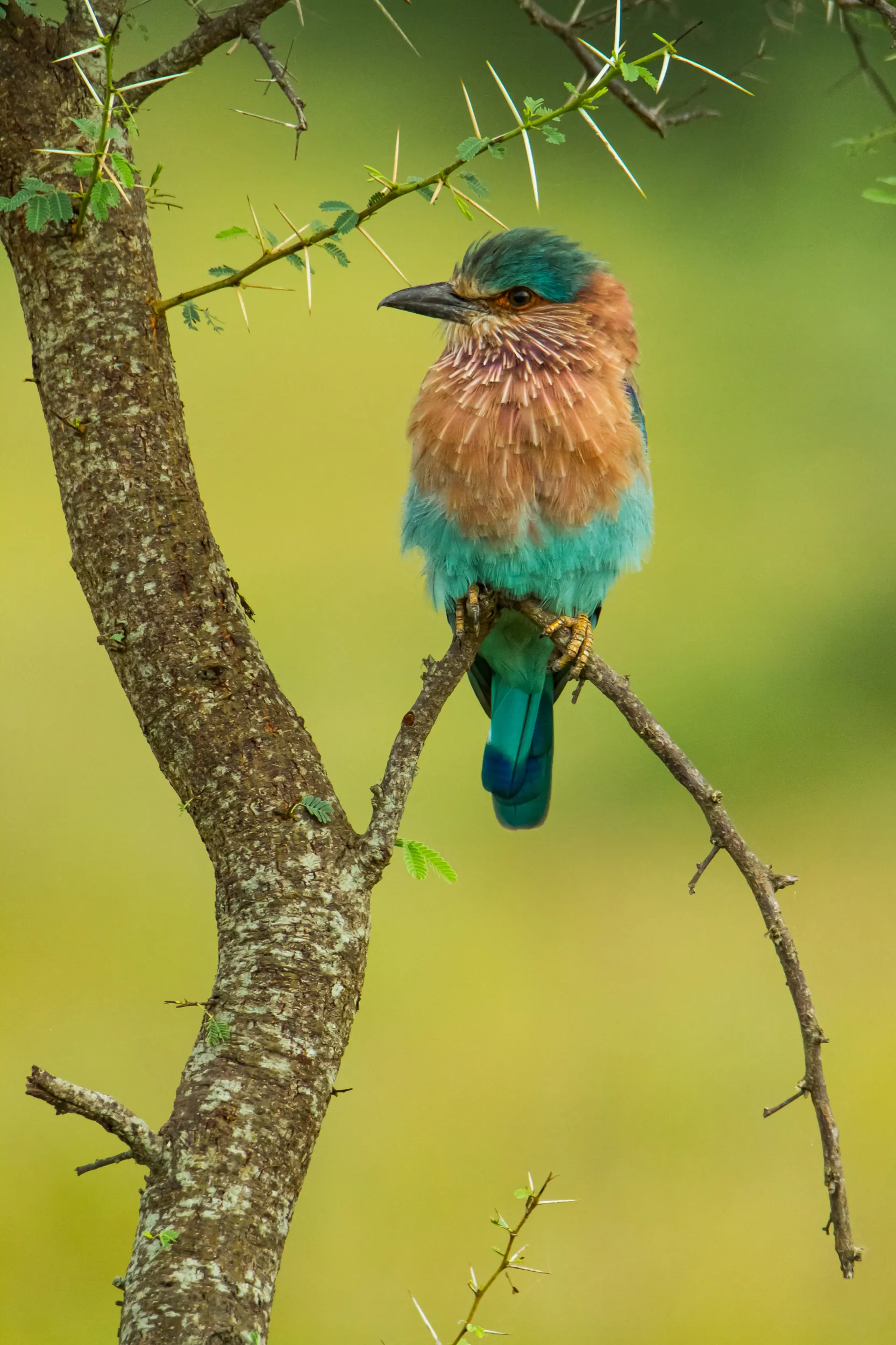 nature & landscape photography 104