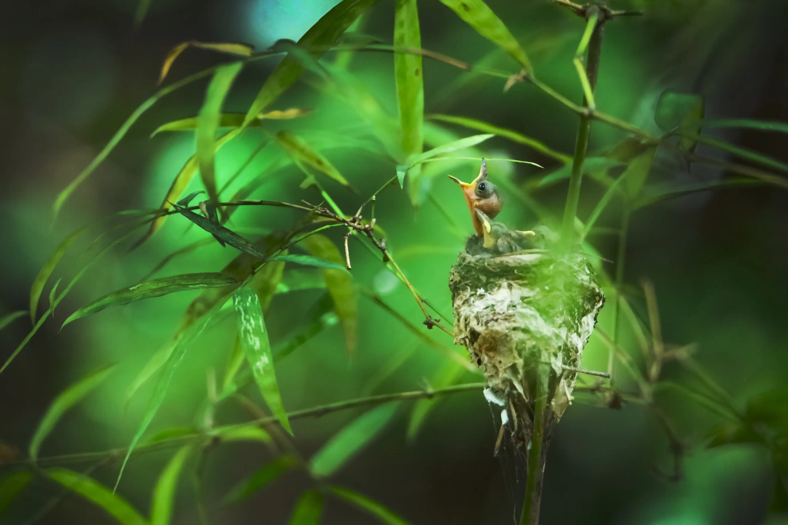nature & landscape photography 83