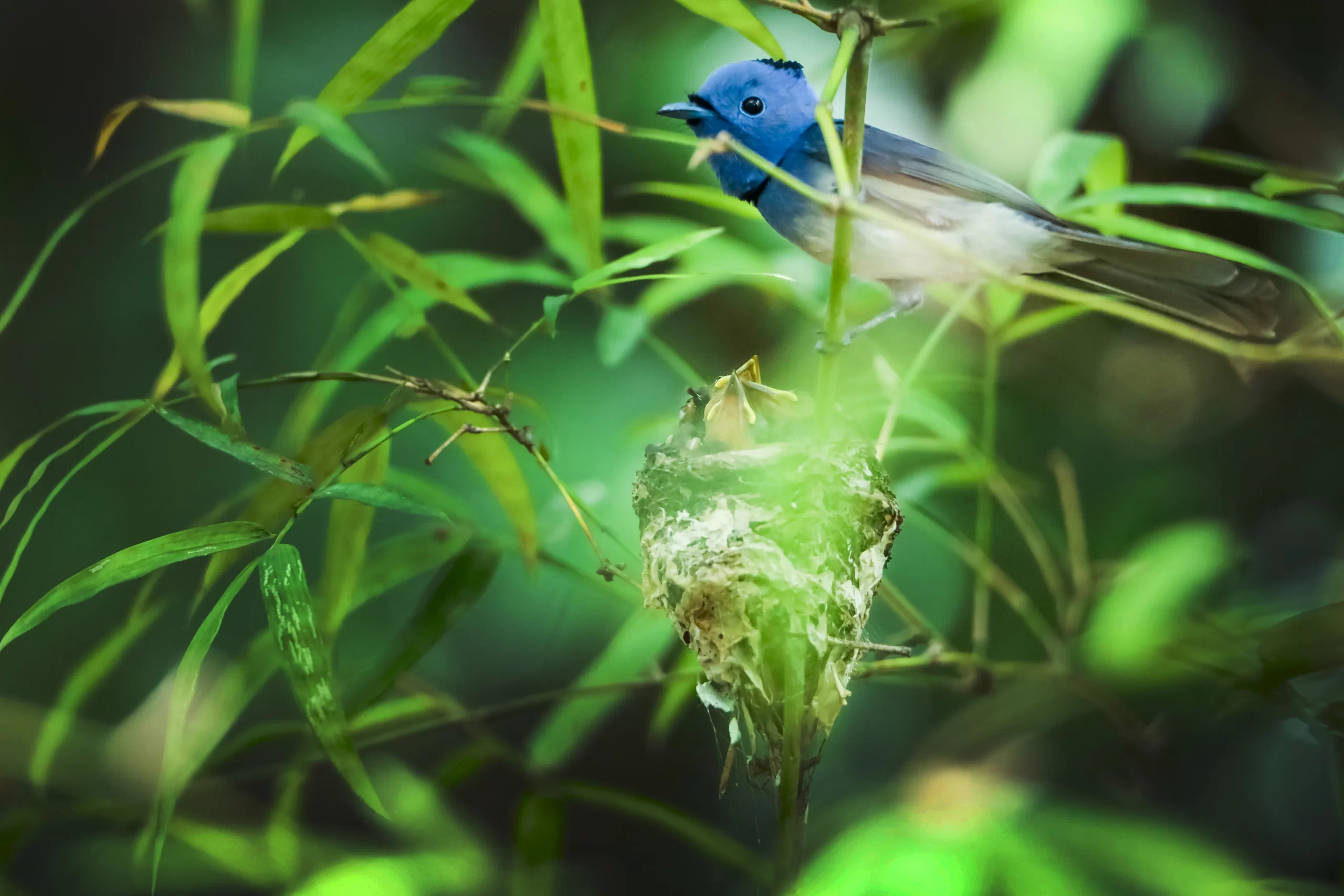 nature & landscape photography 87